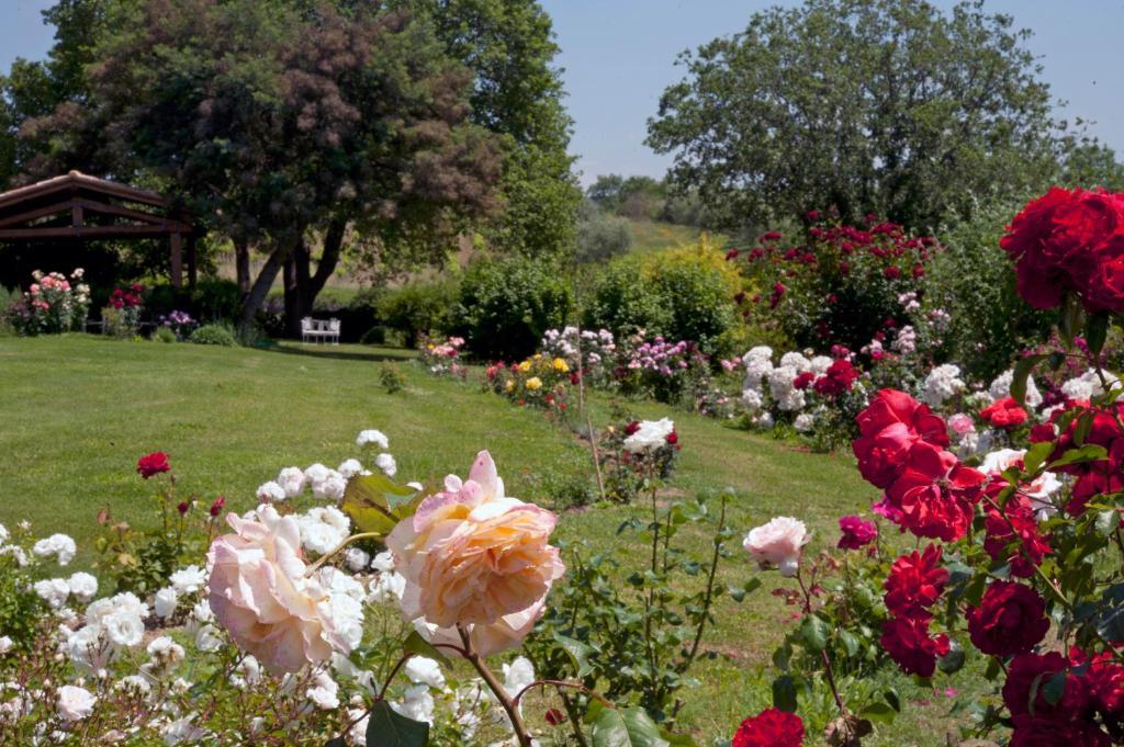 פיטיליאנו Locanda Ilune מראה חיצוני תמונה