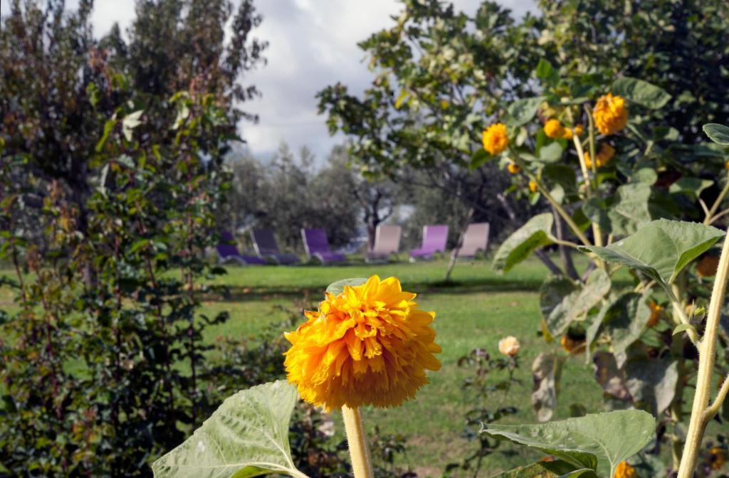 פיטיליאנו Locanda Ilune מראה חיצוני תמונה