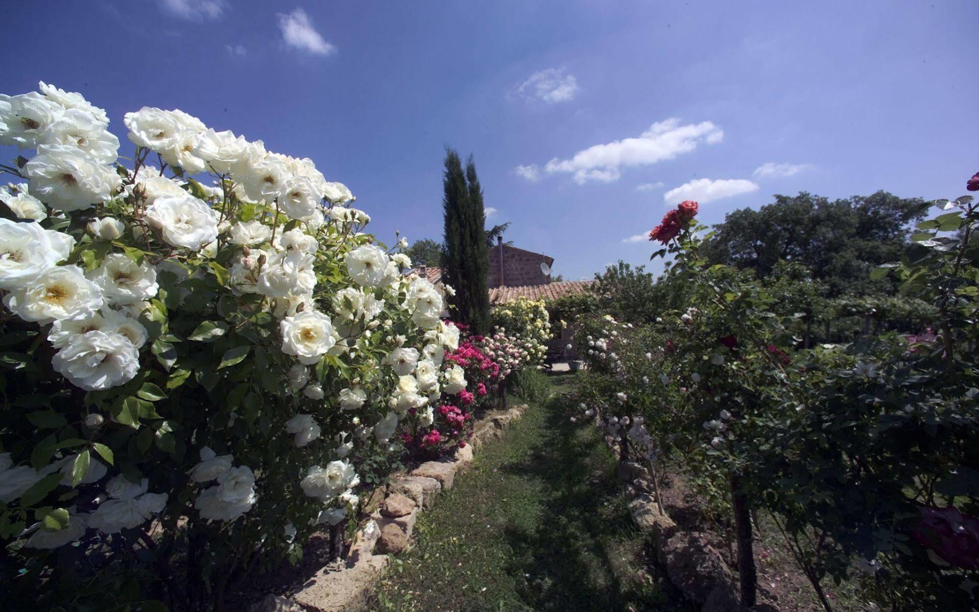 פיטיליאנו Locanda Ilune מראה חיצוני תמונה